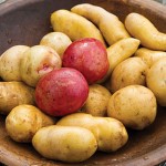 Burpee offers 26 potato varieties 