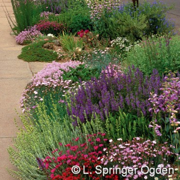 Pre-Planted Gardens