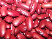protein_kidney_beans175