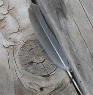 Ant easing feather over large crack between deck boards